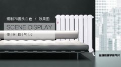 暖氣片價(jià)格選購(gòu)技巧 暖氣片的種類