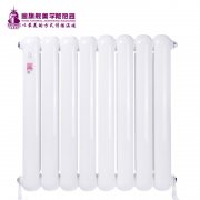鋼制暖氣片廠家產(chǎn)品的資料