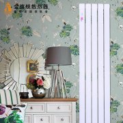 什么牌子的暖氣散熱片價格好?