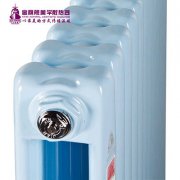 北京暖氣片廠家介紹產(chǎn)品種類
