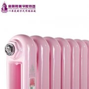 家庭采暖暖氣片價(jià)格揭秘