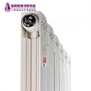 全國十大暖氣片品牌為什么受到重視?