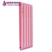 散熱器十大品牌哪家好:使節(jié)能發(fā)揮到極致！