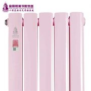 家庭用暖氣片哪種牌子的好 供暖管理規(guī)范化！