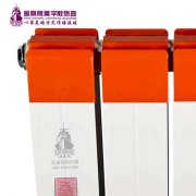 家庭用暖氣片哪種牌子的好 南方選擇原因！
