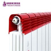 市政集中供暖與家庭獨立供暖的選擇方式