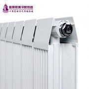 來了解為什么人們喜歡銅鋁復(fù)合暖氣片?